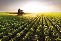 Chemists Discover Safe Pesticide for Organic Agriculture